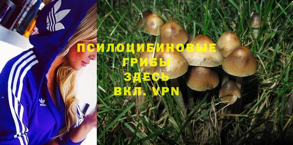 прущие крисы Заводоуковск