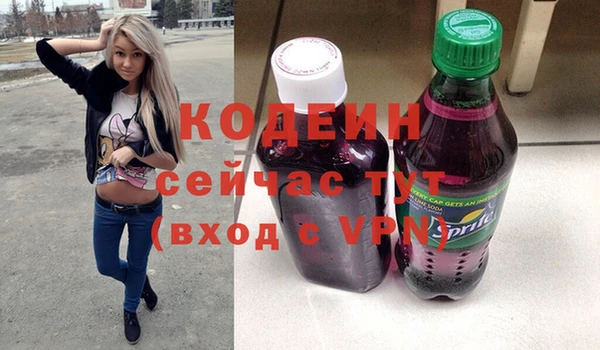 прущие крисы Заводоуковск