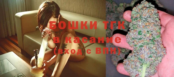 прущие крисы Заводоуковск