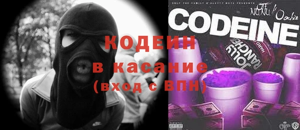 прущие крисы Заводоуковск