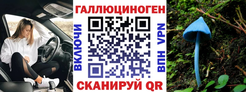 Псилоцибиновые грибы Psilocybine cubensis  MEGA вход  Хасавюрт 
