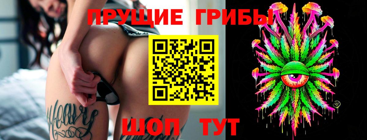 Псилоцибиновые грибы Cubensis  Вход с VPN  Хасавюрт 