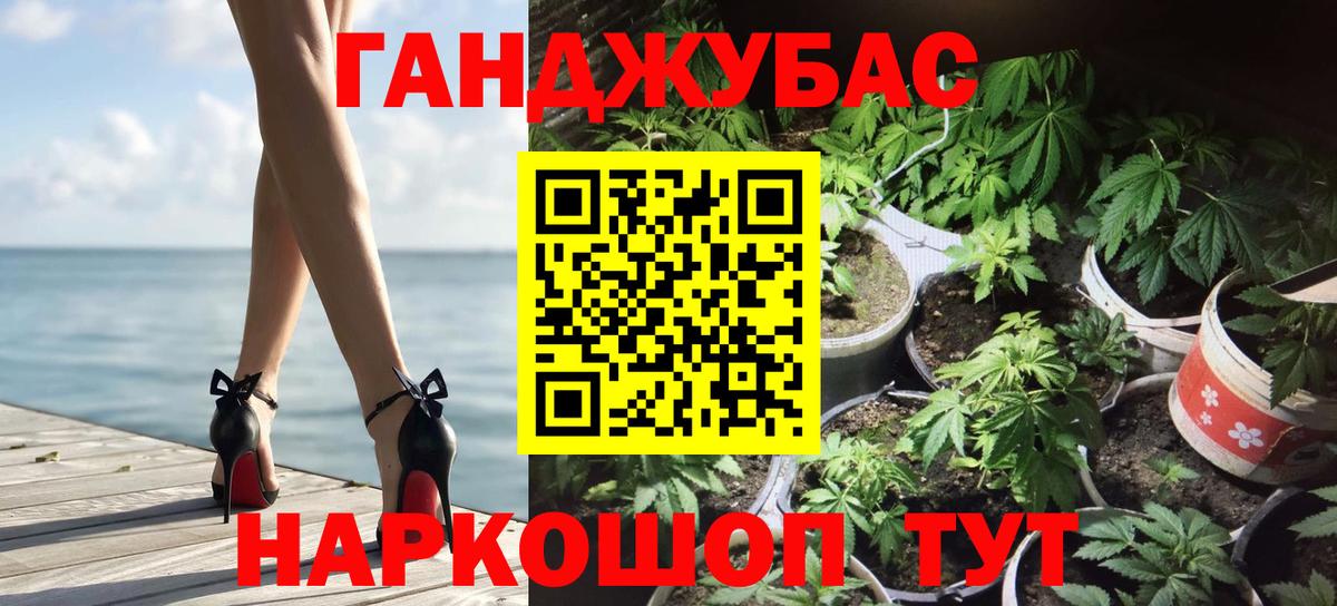 Бошки Шишки план Хасавюрт